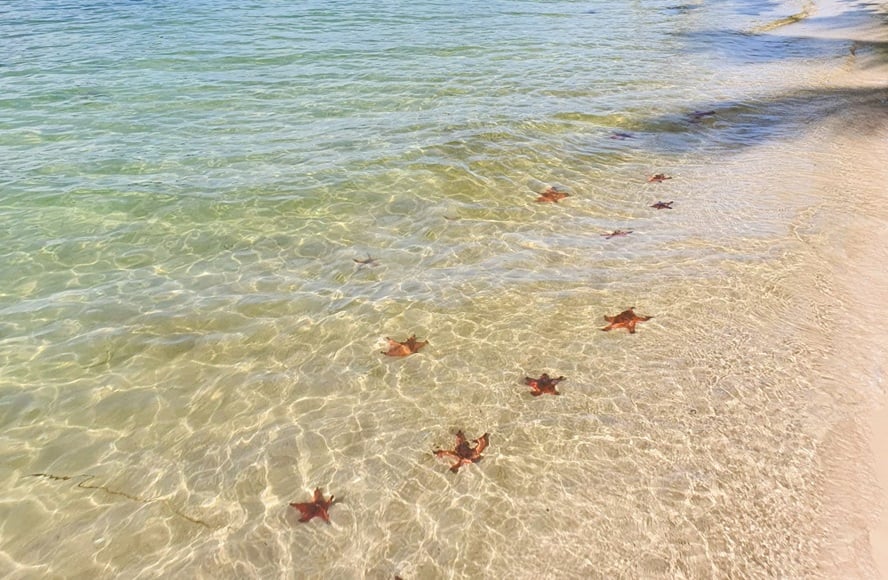 Rach Vem Starfish Beach - Phu Quoc Island