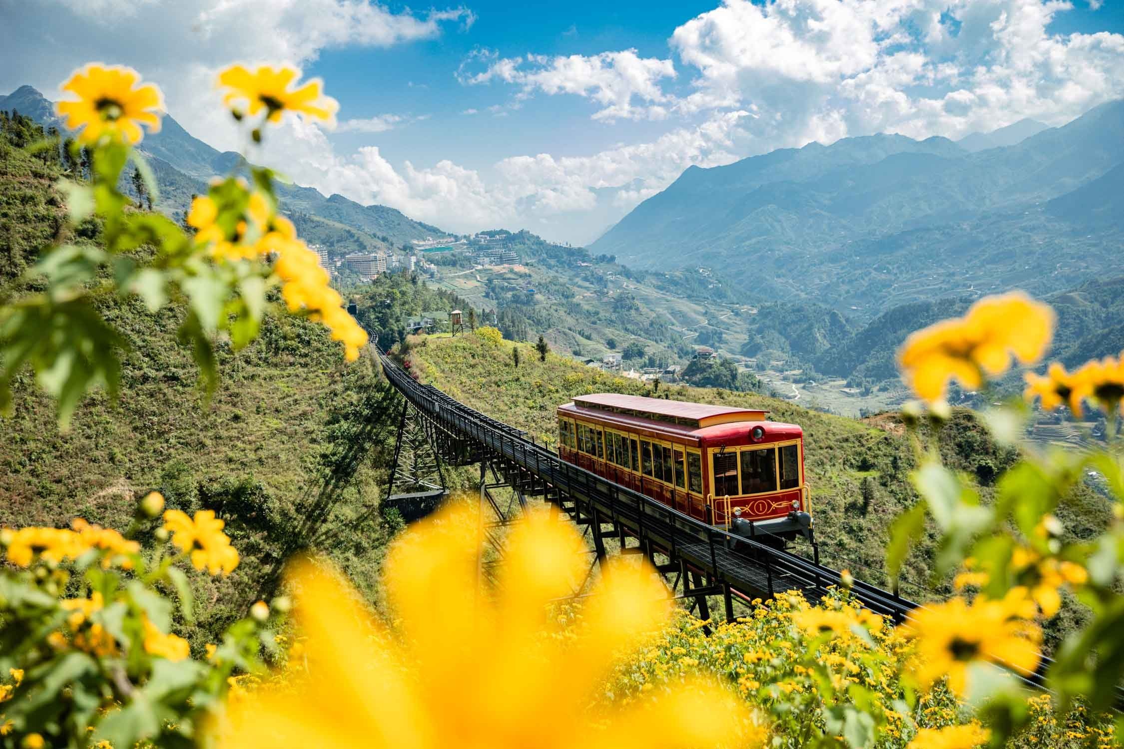 Muong Hoa Valley rice terraces near Sapa