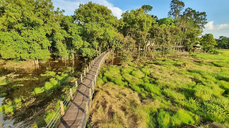 Trail through lowland tropical forest in Cat Tien National Park