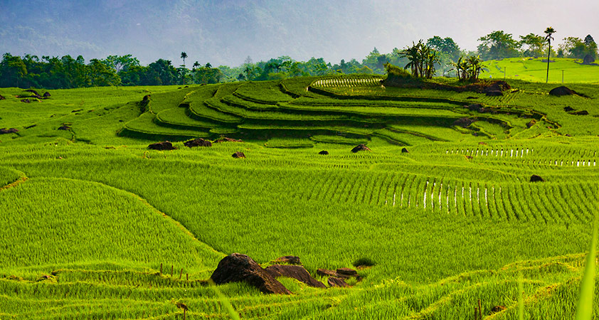 Terraced fields and stilt homes in Pu Luong Nature Reserve