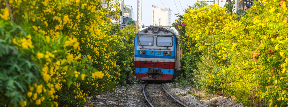 Vietnam-Train